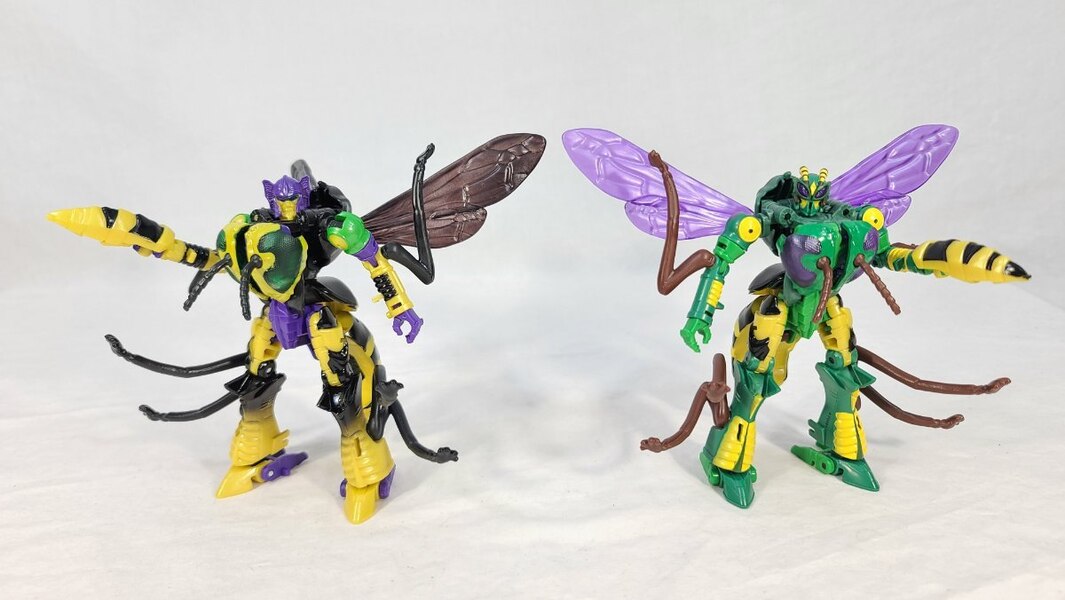 TF Colector Legacy Buzzsaw Review  (6 of 8)